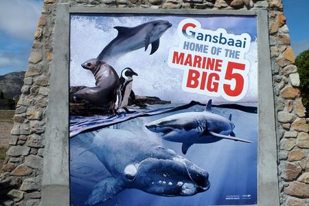 Die welkome en opgradeerde ingang na Gansbaai-dorp, met die uitbeelding van â€œGansbaai Home of the Marine Big 5â€ op die muur links en die â€œGansbaai Verwelkomingsâ€ op die muur regs